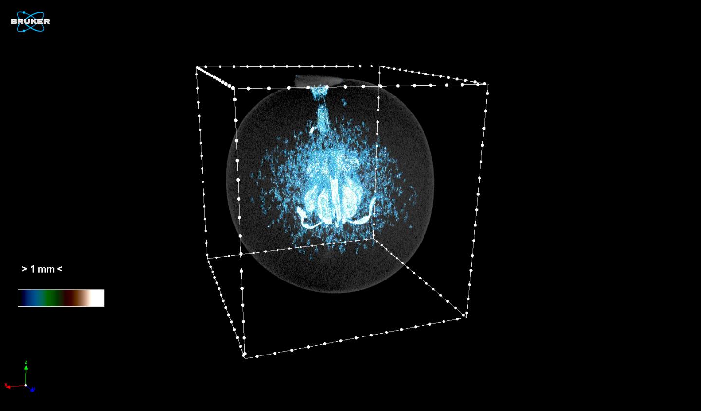 Grape Oxygen Levels Promote Cell Death