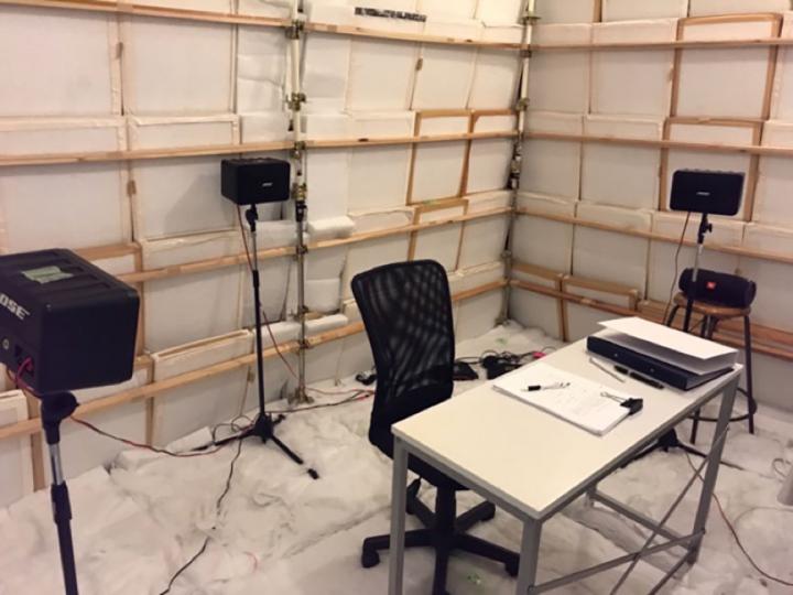 Experiment in an Anechoic Room