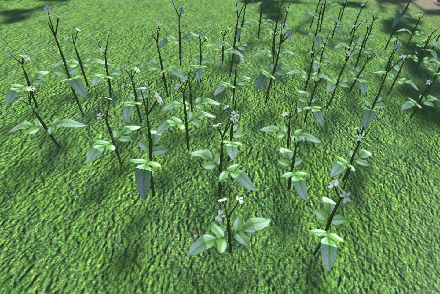 Spanish Needles Seen in Butterfly World 1.0