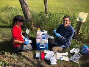 Investigating the Vital Role of Microbes in Coastal Plant Health