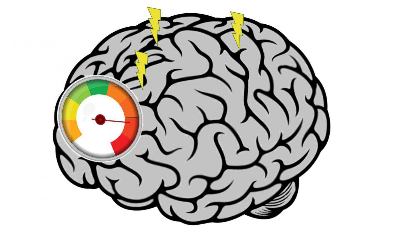 Brain Overload [IMAGE] EurekAlert! Science News Releases