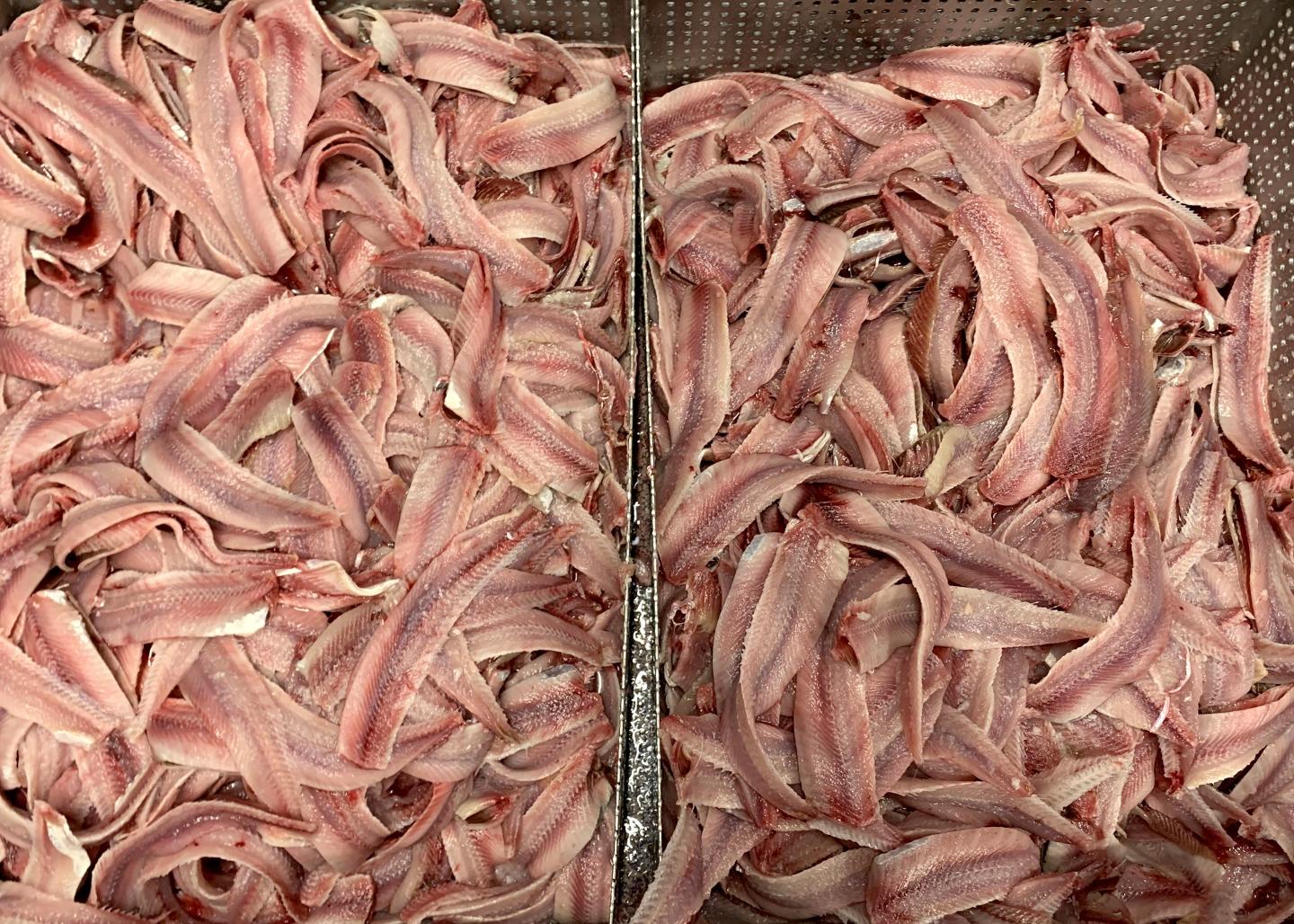 Food from the whole herring