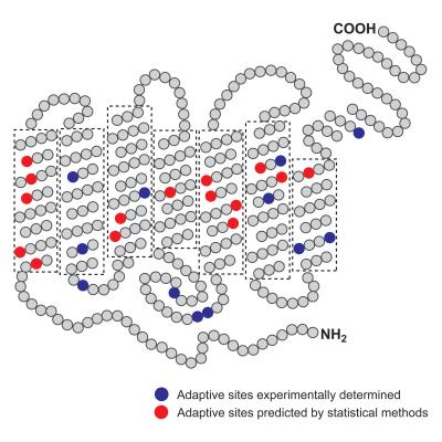 Hundreds of Natural-Selection Studies Could be Wrong, Study Demonstrates