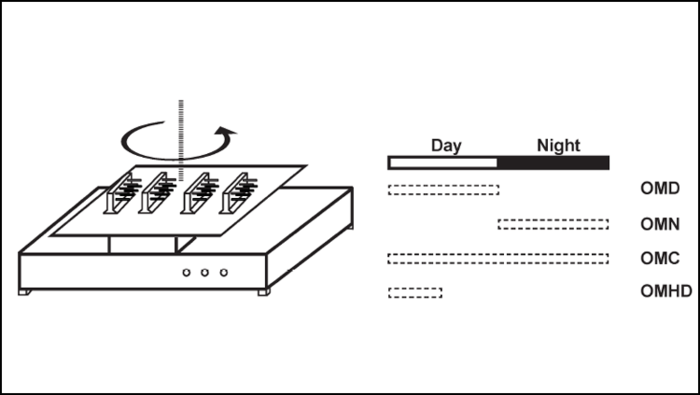 Why Motion Makes You Sleepy: Insight from Fruit Flies