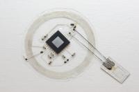 Bioresobable Brain Sensor Prototype