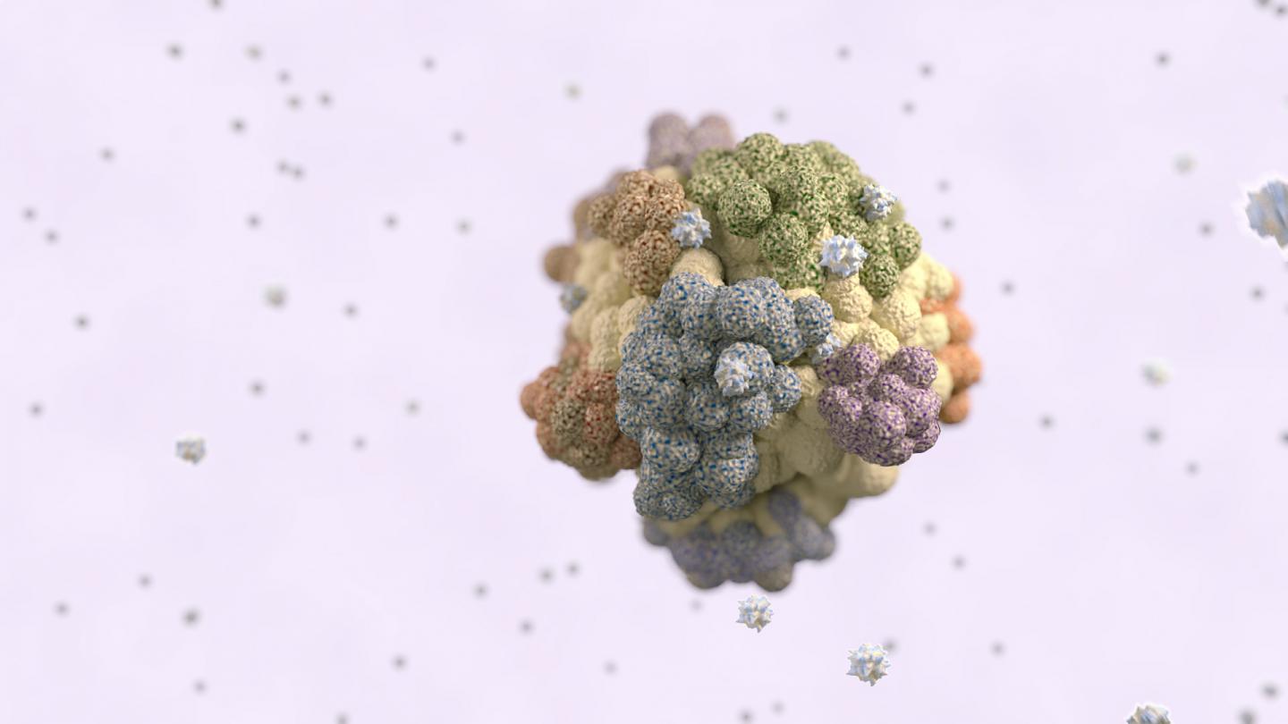 Tumor Antigens Help Explain Varied Reactions to Immunotherapy (4 of 5)