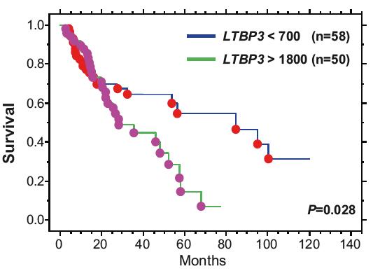 Patient Survival Curves