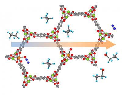 From Separation to Transformation: Metal-Organic Framework Shows New Talent