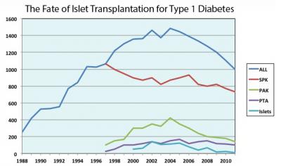 The Fate of Islet Transplanation for Type 1 Diabetes
