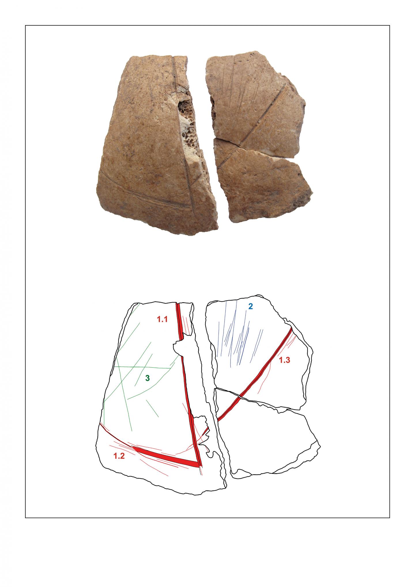 In Turkey, Carved Skulls Provide the First Evidence of a Neolithic 'Skull Cult' (6 of 8)