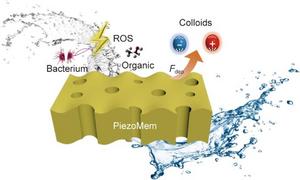 Schematic of the self-cleaning piezomembrane for widespread foulants.