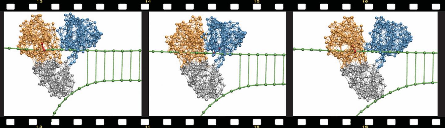 Figure 1 Molecular movie