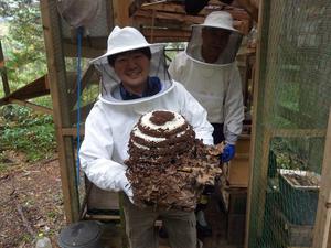 Saga also works on developing biodiversity education methods and collects seawater for environmental DNA analysis at Azure Maiko with students from the Hyogo Prefectural School for Students with Special Visual Needs. (Photo provided by SAGA Tatsuya.)