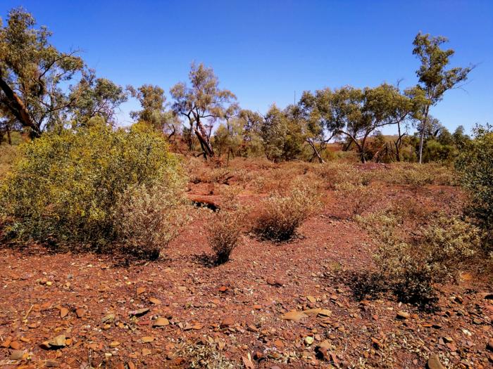 A general landscape of the Pilbara region