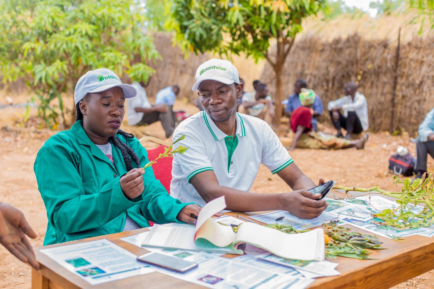Plant doctors at a plant clinic in Kenya.