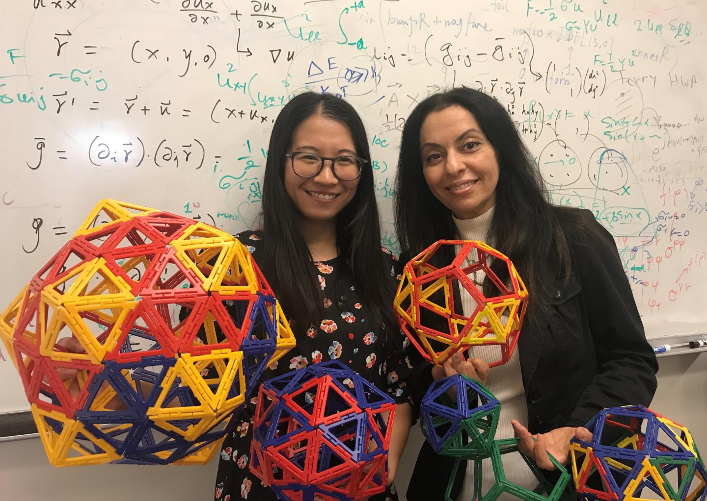 Siyu Li and Roya Zandi