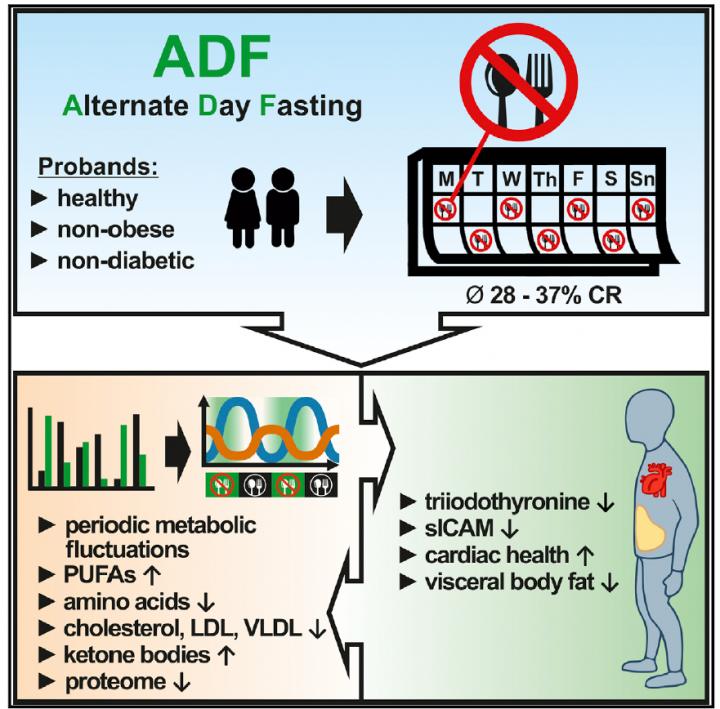 ADF Clinical Trial