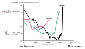 underwater hearing