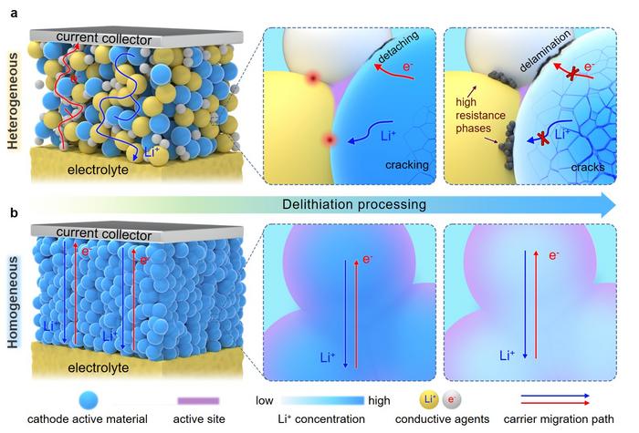 Schematic illustration of cathode microstructure evolution during charging