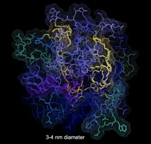 Protein-mimicking polymer