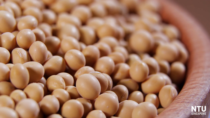 Using fermented soybean waste to tackle obesity