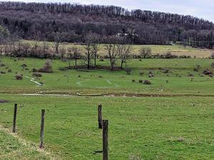 small stream basins that are heavily influenced by agriculture