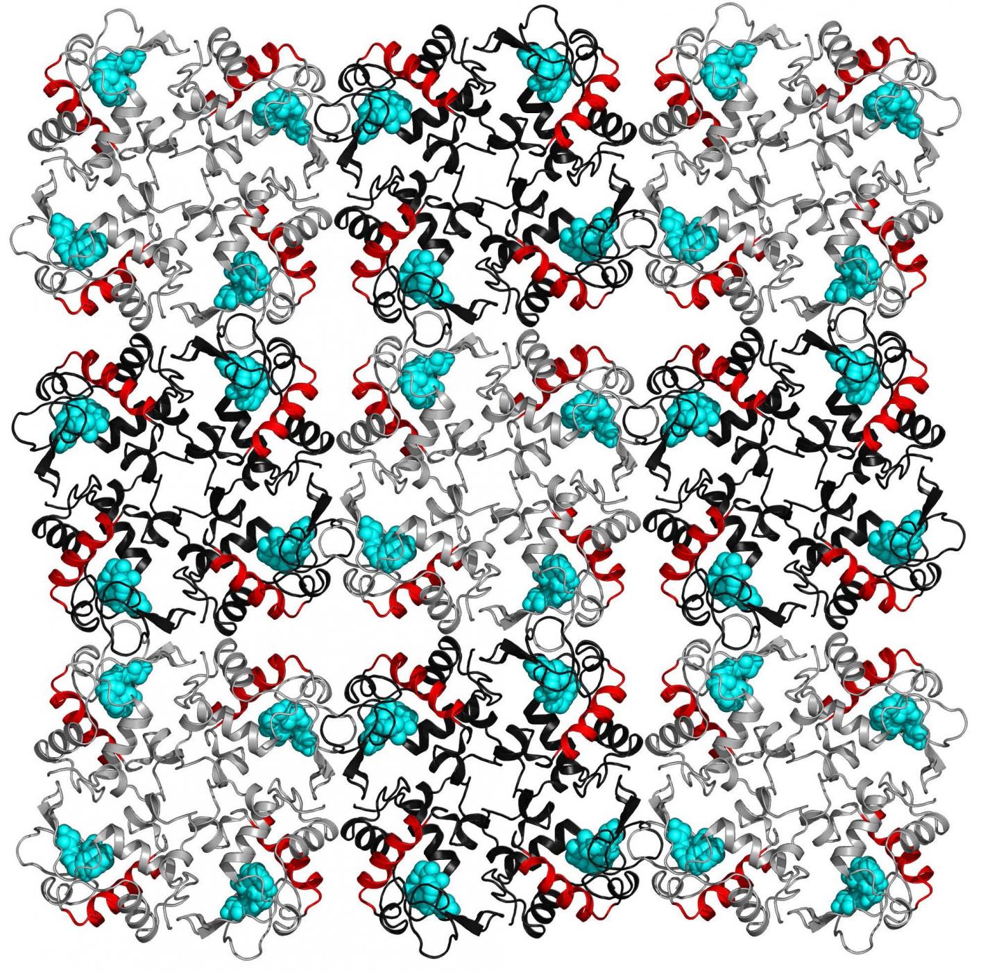 Lysozyme Molecules Arranged in a Crystal Lattice