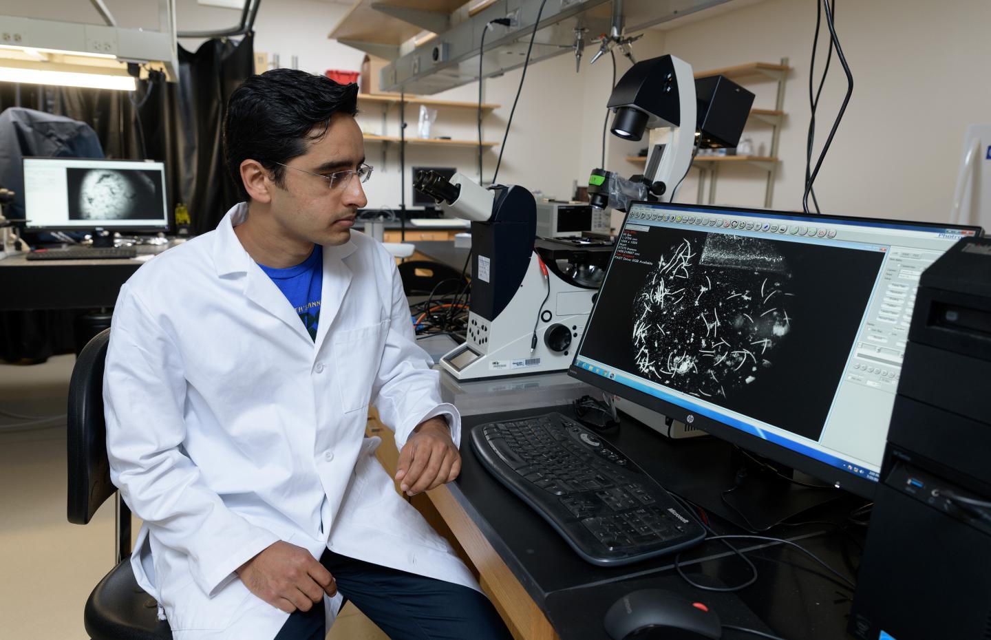Saad Bhamla with Protozoans