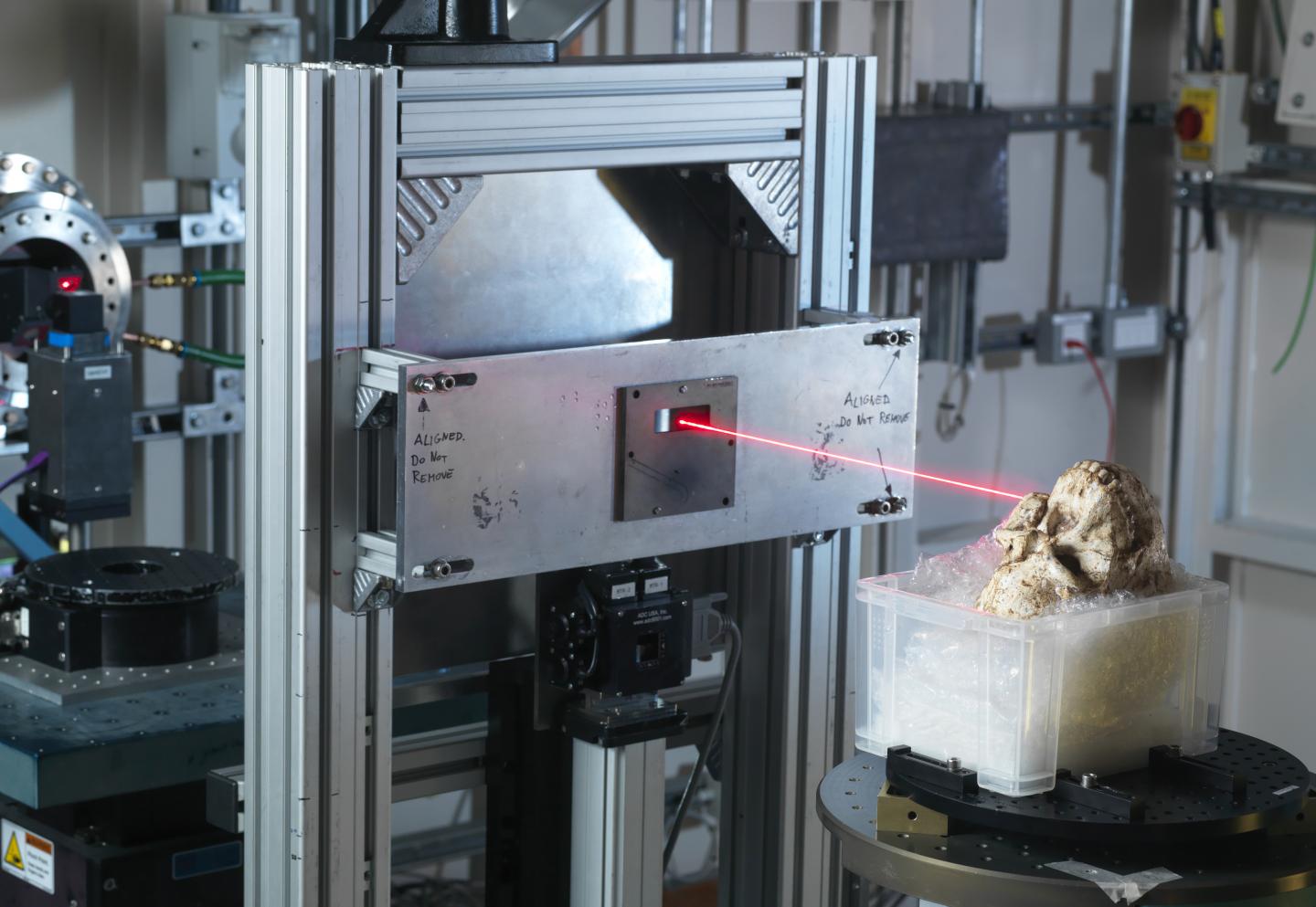 Little Foot Fossil skull in Diamond's beamline I12