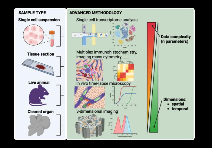 Recent technological breakthroughs greatly advanced our understanding of liver macrophage spatiotemporal diversity.