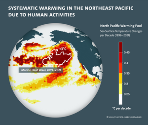 Systematic warming in the Pacific due to human activities