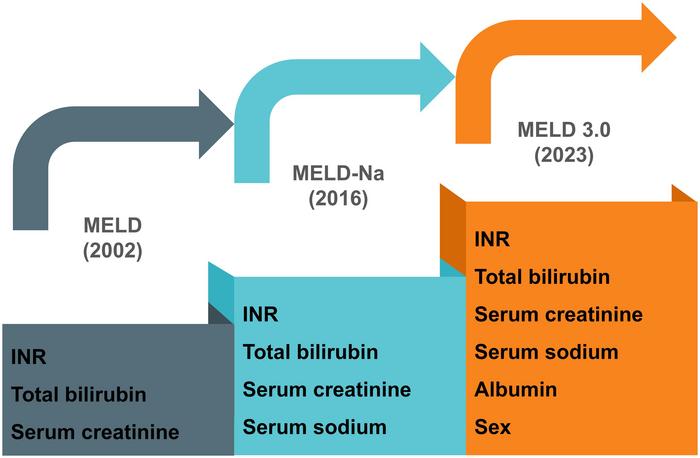 The Development and Appraisal of MELD 3.0 in Liver Diseases: Good Things Never Come Easy