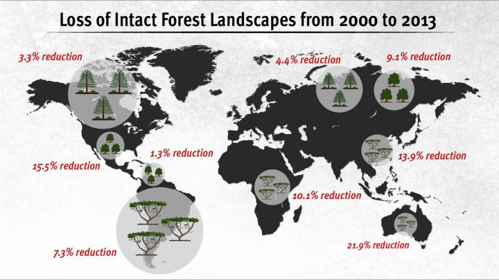 Losing the 'Last Frontiers of Wilderness' (1 of 3)