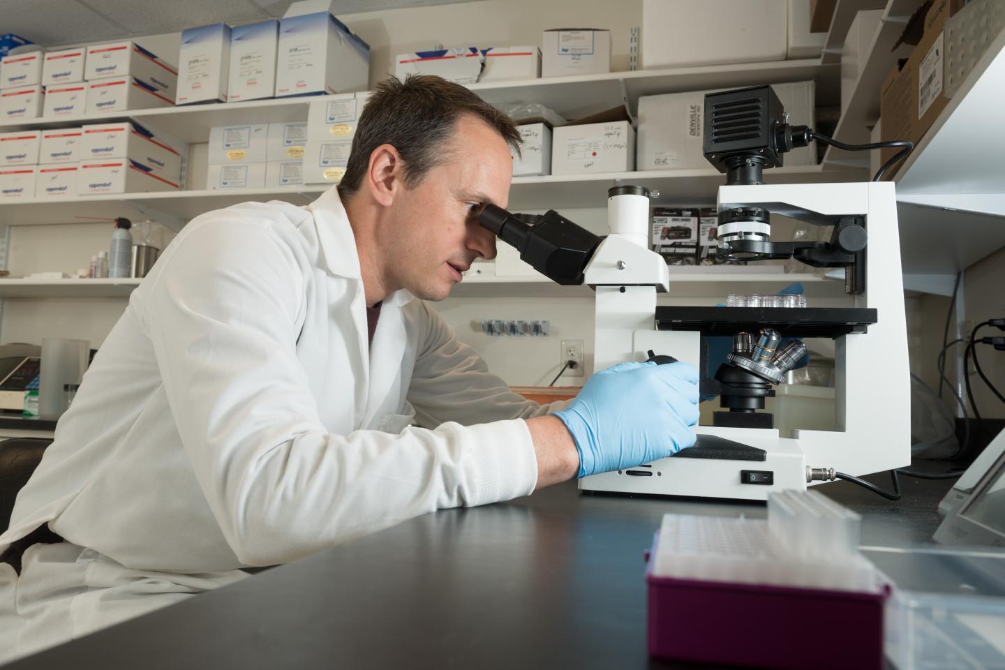 Greg Ebel, Colorado State University