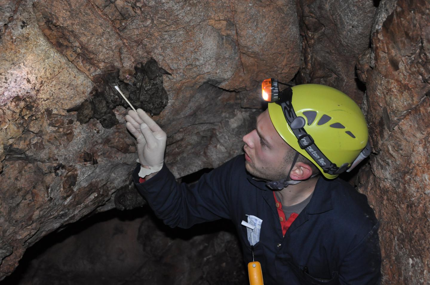 Joseph Hoyt, University of California - Santa Cruz