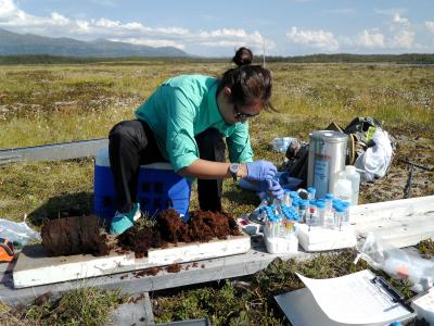 Eun-Hae Kim, University of Arizona