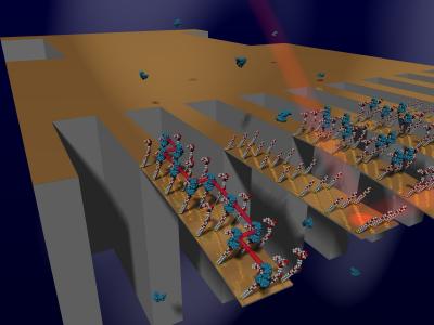 Multiple Cantilever Arrays