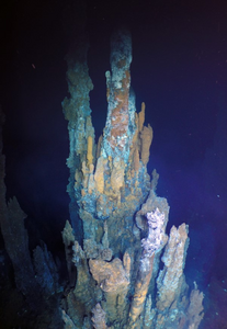 A hydrothermal chimney at YBW-Sentry