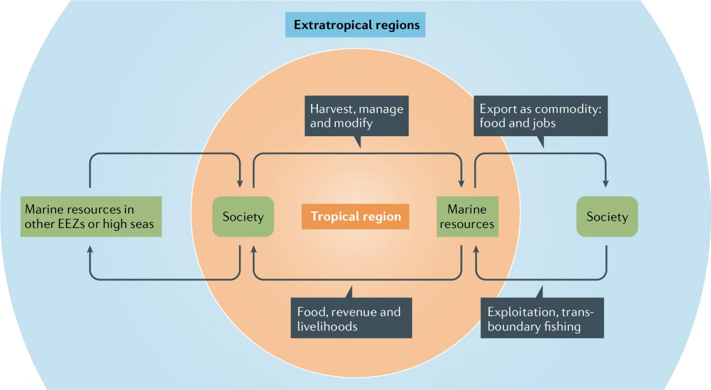 Telecoupling Linkages Between Tropical Marine Fisheries and Extratropical Regions