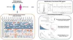 Identification and analysis of sex-biased copy number alterations