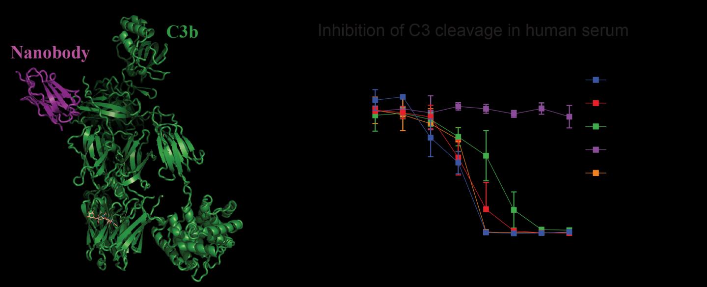 The Newly Developed Nanobody