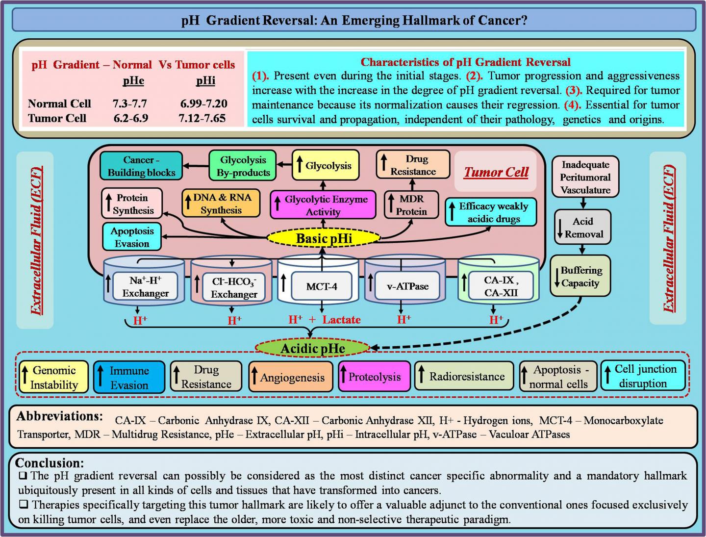 The pH Gradient Reversal