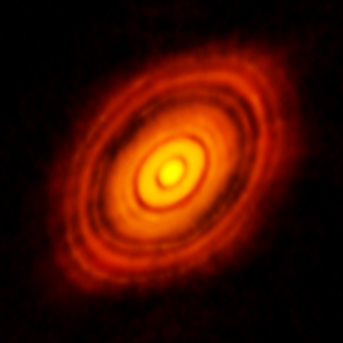 Young star with ringed disk