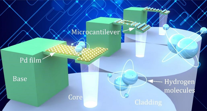 The schematic of rectangular solid, rectangular hollow, and triangular polymer microcantilever beam probes for hydrogen sensing on an optical fiber tip