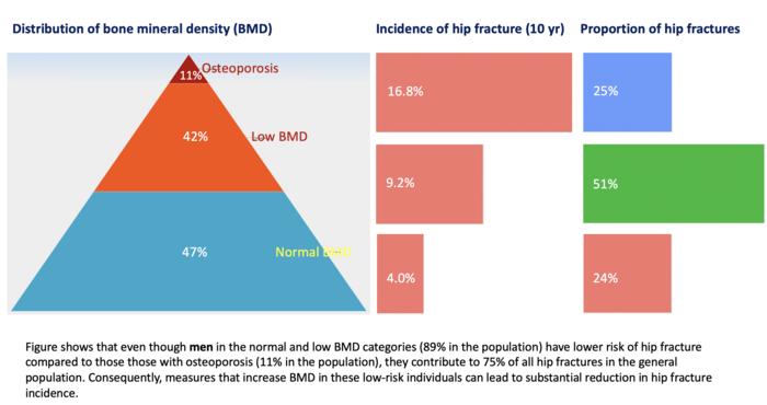 Distribution of bone mineral density and hip fracture