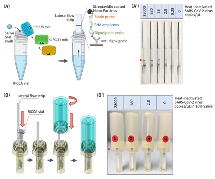 Figure: A novel RICCA assay.