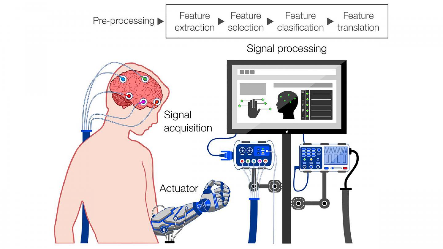 Schematic demonstrates the steps required for eBCI operation