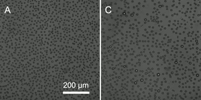 Water Droplet Condensation on Nanotextures