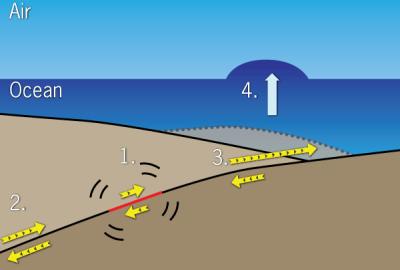 Diagram of March 11 Fault Motion Sequence