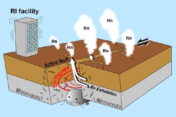 Radon analytical facilities